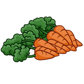 a bunch of orange carrots with green tops clip art image