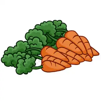 a bunch of orange carrots with green tops clip art image