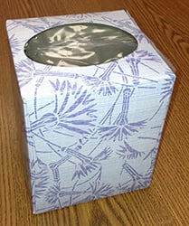 Empty white and blue square tissue box