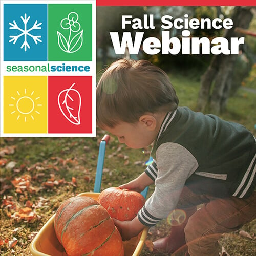 Toddler lifting pumpkin from wheelbarrow for Fall Seasonal Science Webinar