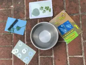Sun and Sunscreen Science Activity